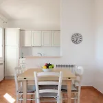 Sea Shell - Klodge Appartamento *