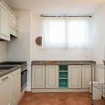 Sea Shell - Klodge *