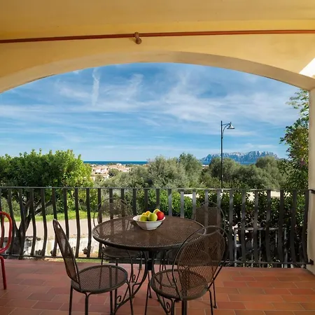 Sea Shell - Klodge Olbia