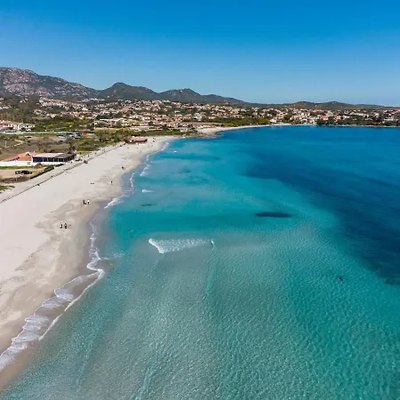 Sea Shell - Klodge *