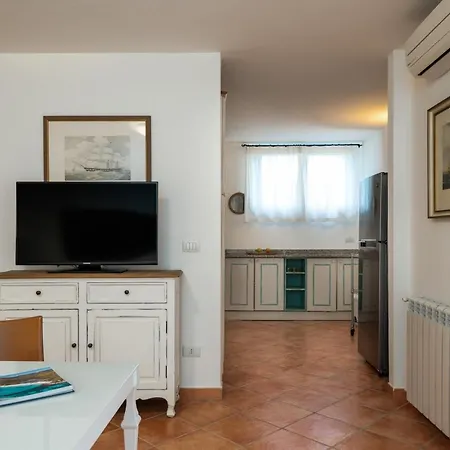 Sea Shell - Klodge *