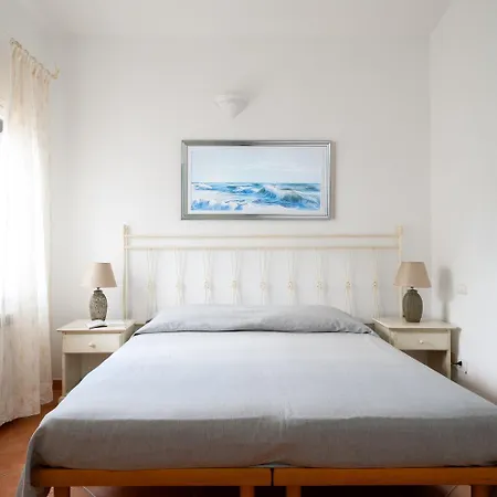 Sea Shell - Klodge * Olbia