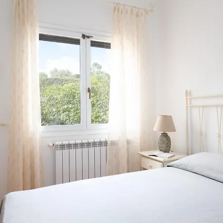 Sea Shell - Klodge *