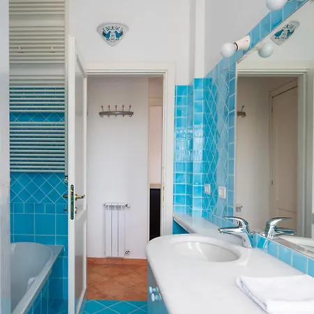 Sea Shell - Klodge *