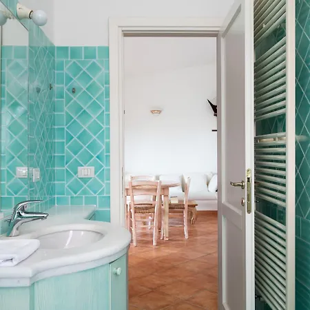 Sea Shell - Klodge Olbia