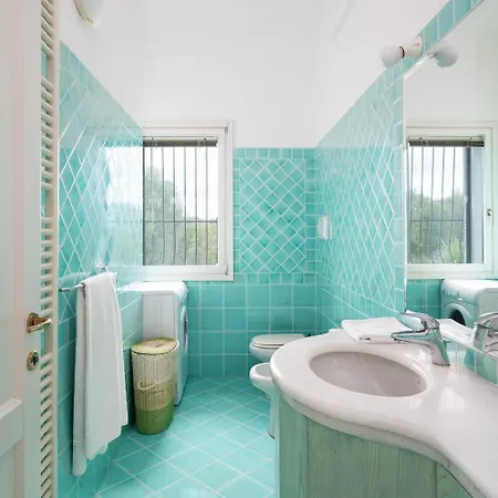 Sea Shell - Klodge Olbia