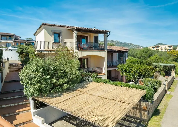 Sea Shell - Klodge *