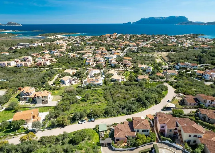 Sea Shell - Klodge Apartament