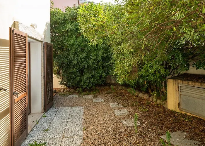 Sea Shell - Klodge *