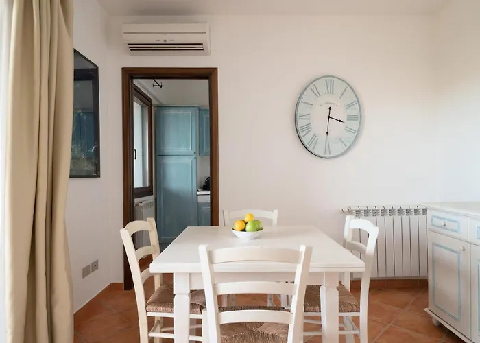 Sea Shell - Klodge *