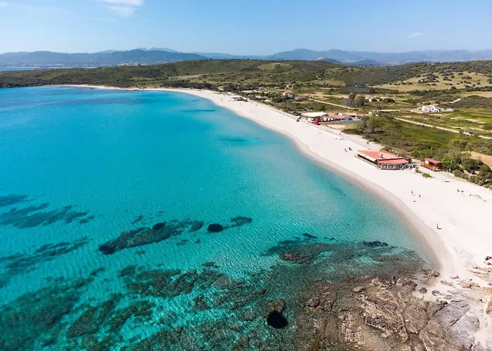 Sea Shell - Klodge *