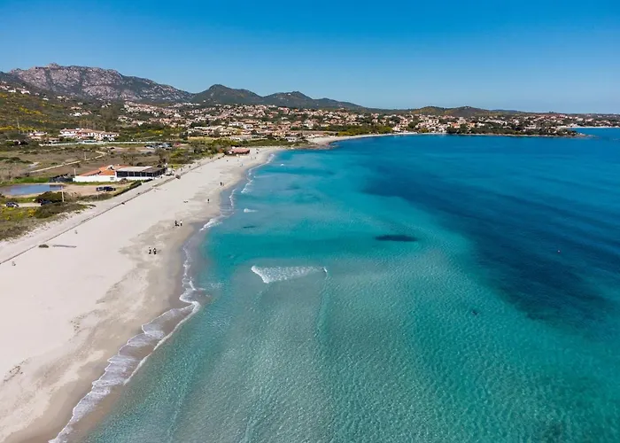 Sea Shell - Klodge *