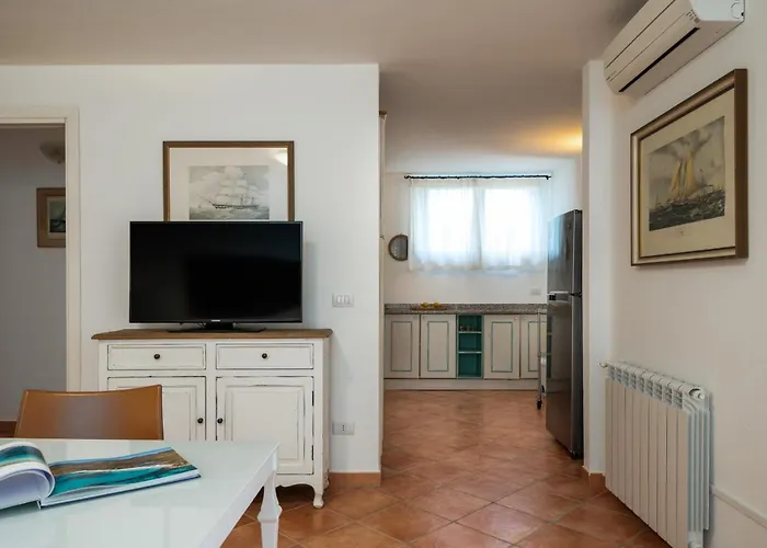 Sea Shell - Klodge *