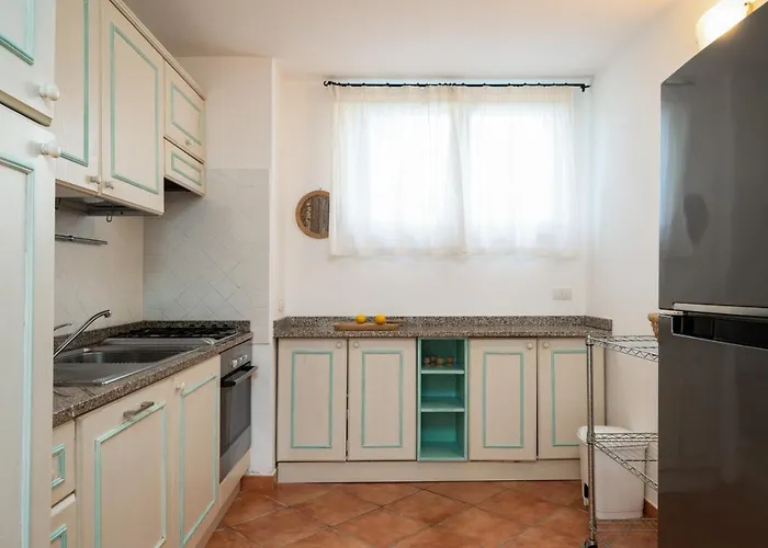 Sea Shell - Klodge *