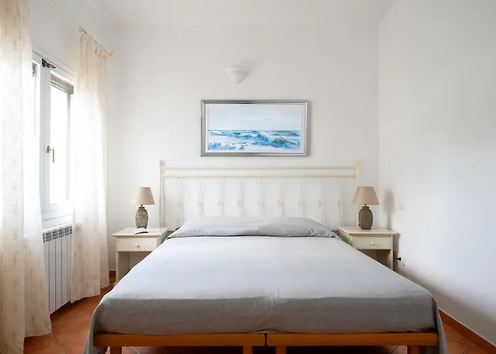 Sea Shell - Klodge * 奧爾比亞