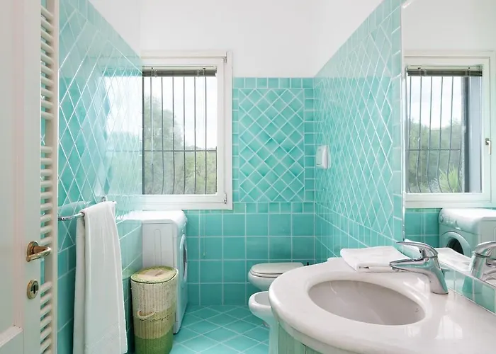 Sea Shell - Klodge 奧爾比亞